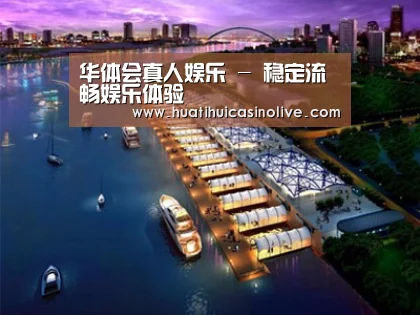 案例展示八