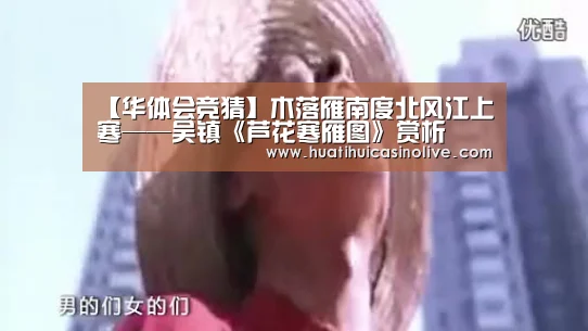 【华体会竞猜】木落雁南度北风江上寒——吴镇《芦花寒雁图》赏析(图1) 华体会竞猜
