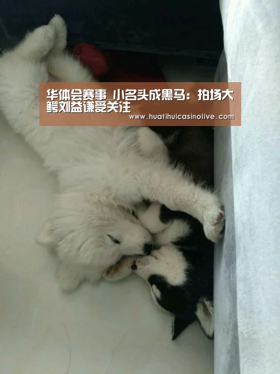华体会赛事_小名头成黑马:拍场大鳄刘益谦受关注(图2) 华体会赛事