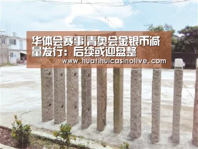 华体会赛事|青奥会金银币减量发行:后续或迎盘整(图1) 华体会竞猜
